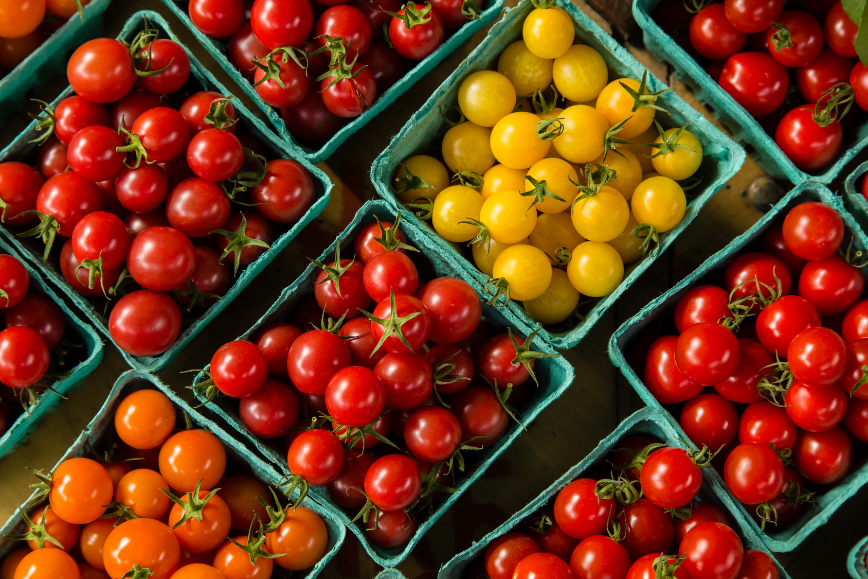 fresh tomatoes